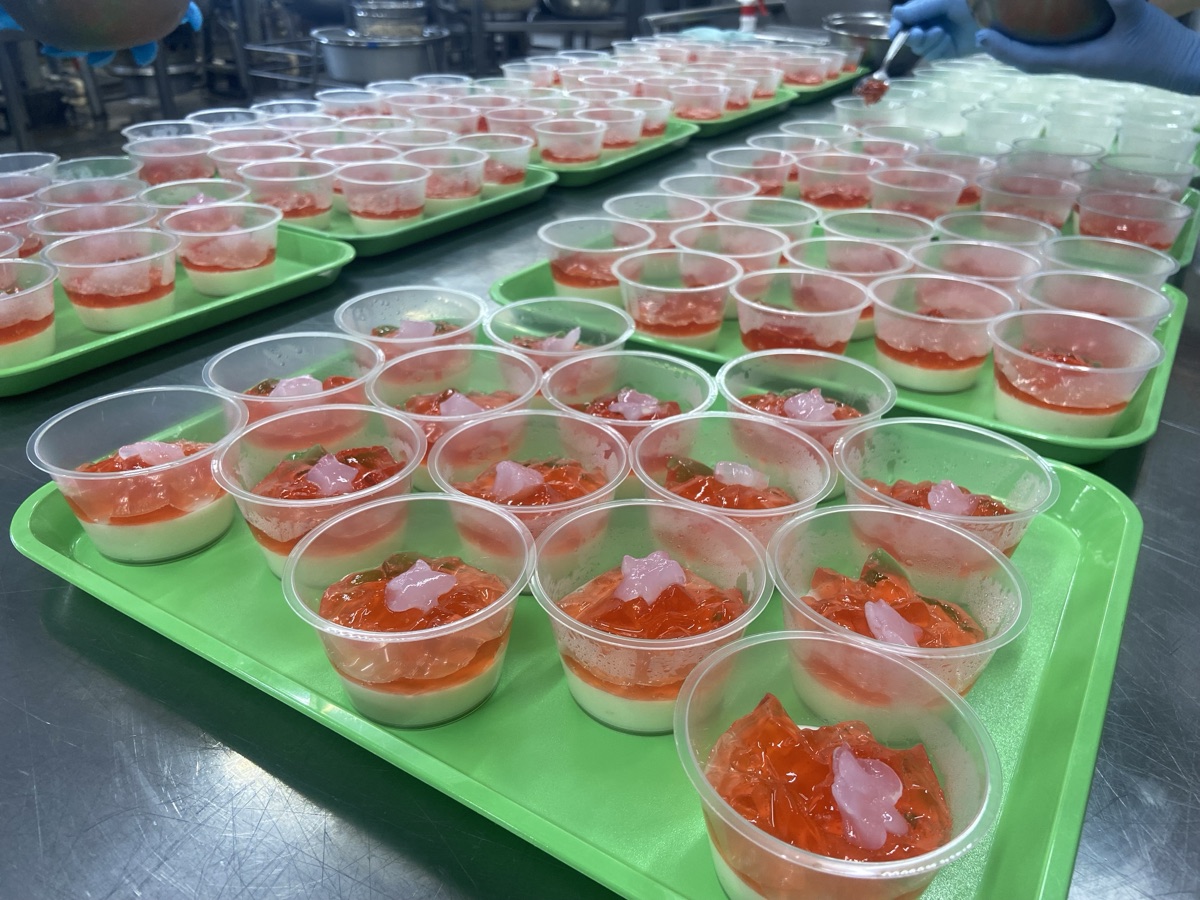 Hundreds of layered celebration jelly cups on green school trays, ready to serve